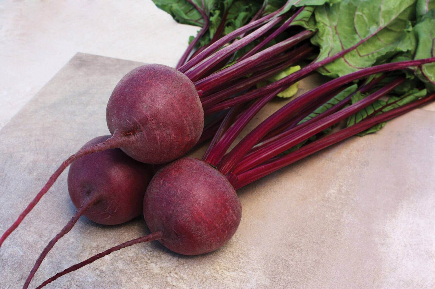 Beet Kestral OSC Seed