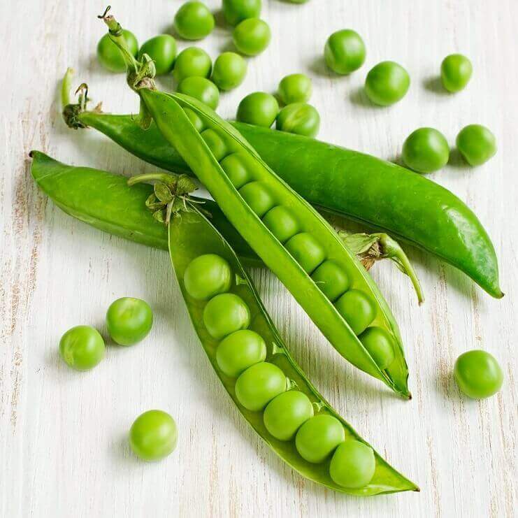 Peas Laxton's Progress Organic OSC Seed