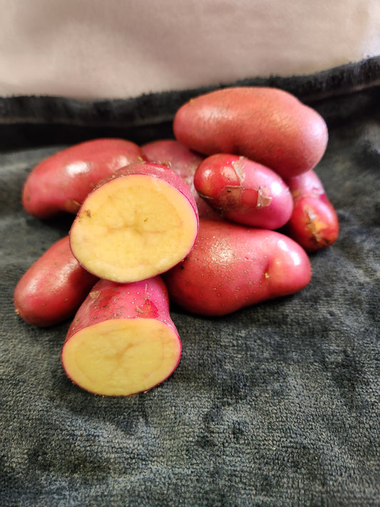 Potato Seed French Fingerling