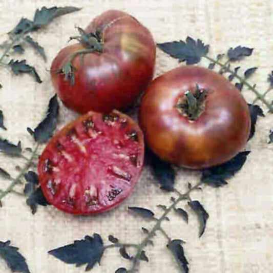 Tomato Cherokee Purple OSC Seed