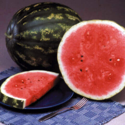 Watermelon Crimson Sweet OSC Seed