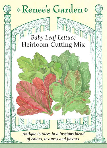 Lettuce Baby Leaf Heirloom Cutting