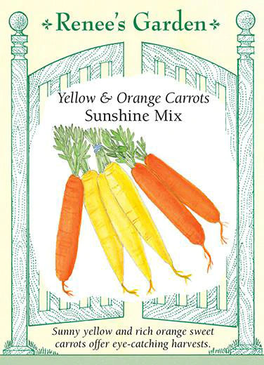 Carrot Yellow & Orange Sunshine