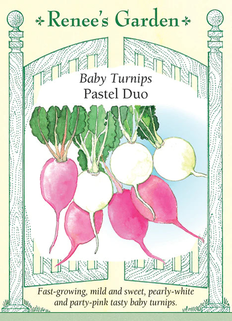 Turnip Baby Pastel Duo