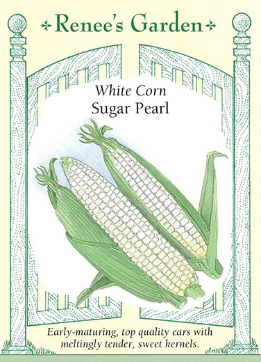Corn Sugar Pearl