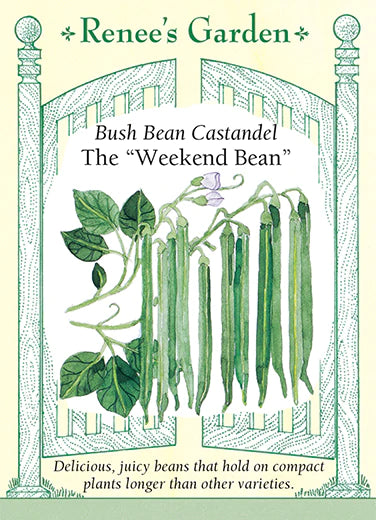 Bean Bush Castandel