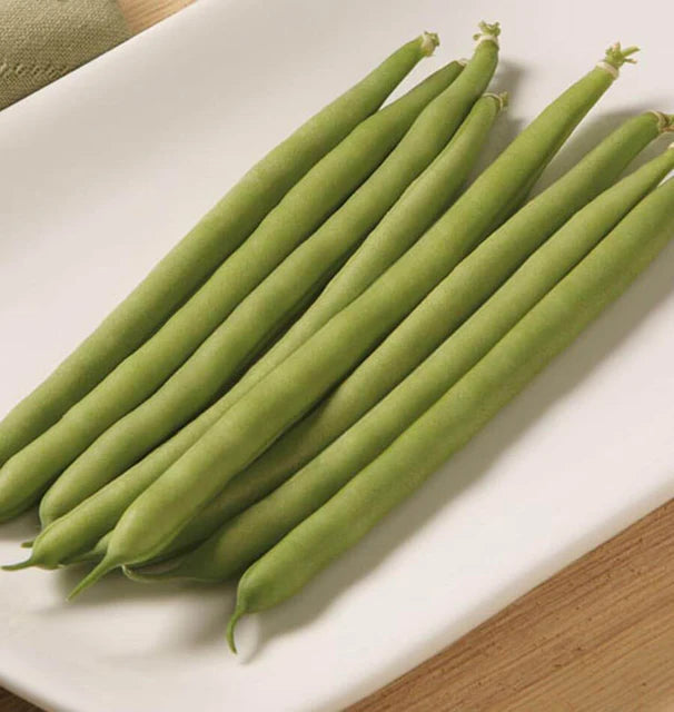 Bean Bush Jade WCS Seed