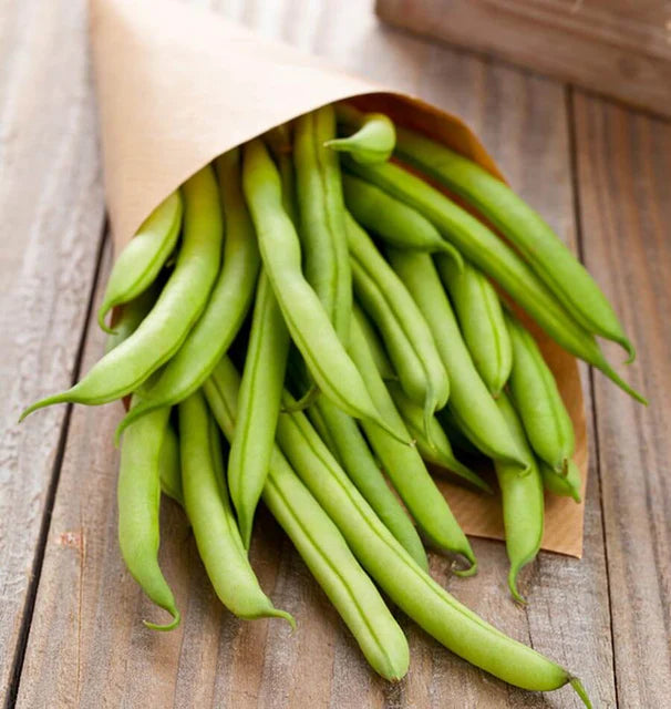 Bean Pole Kentucky Wonder Brown WCS Seed