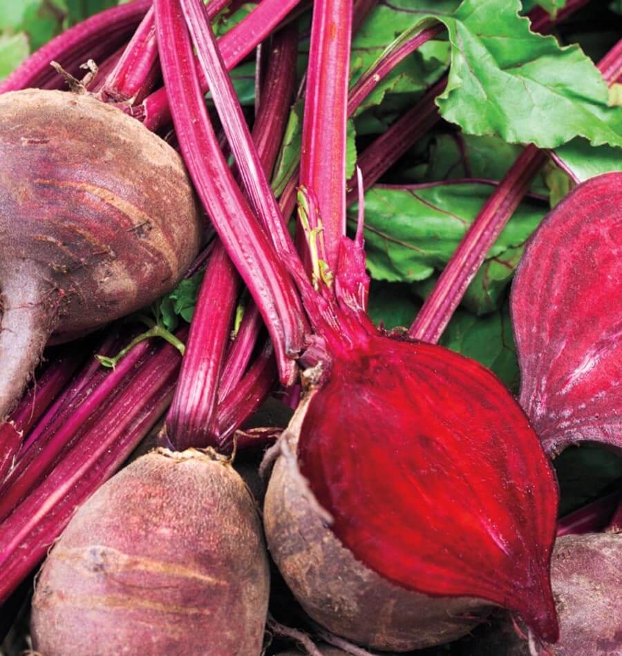 Beets Detroit Supreme WCS Seed