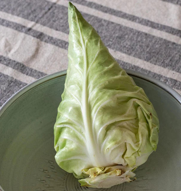 Cabbage Caraflex WCS Seed