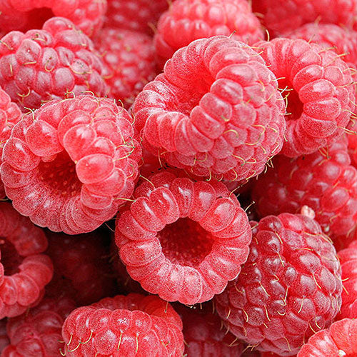 Boyne Raspberry 1G