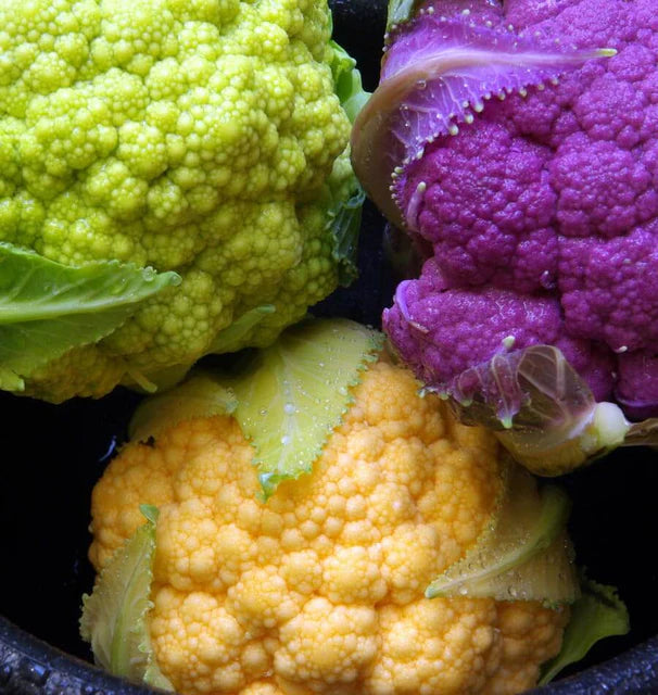 Cauliflower Multi Colouring Blend WCS Seed
