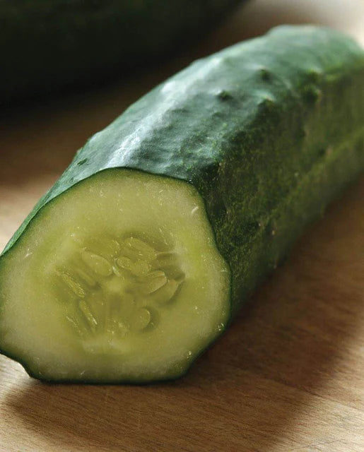 Cucumber Patio Snacker WCS Seed