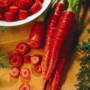 Carrot Atomic Red OSC Seed