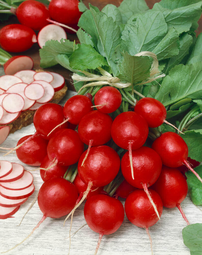 Radish Cherry Belle Organic OSC Seed