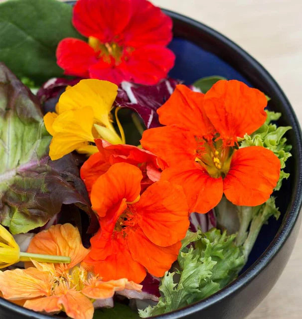 Nasturtium Salad Blend WCS Seeds