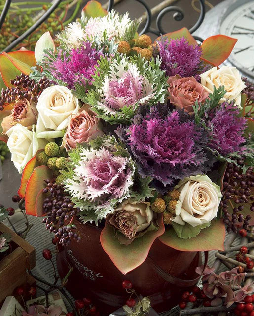 Kale Crane Feather King WCS Seeds