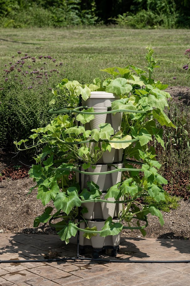 GreenStalk Plant Support (1 tier)