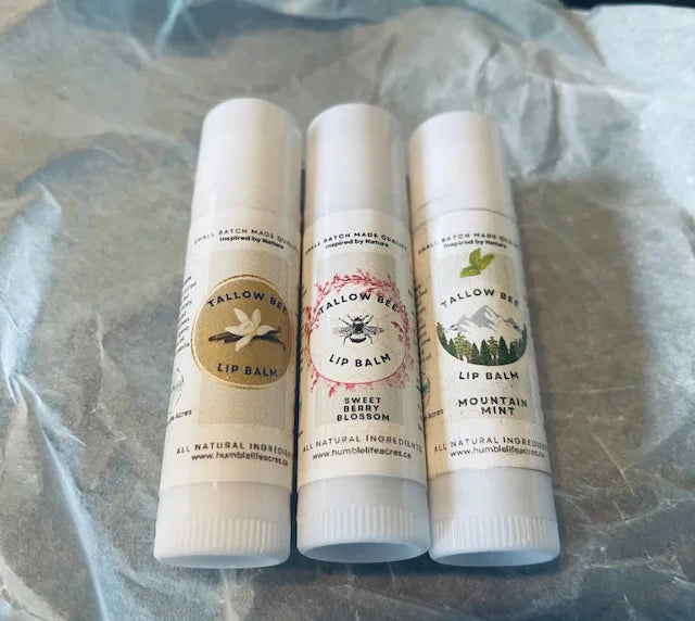 Tallow Bee Lip Balm Trio