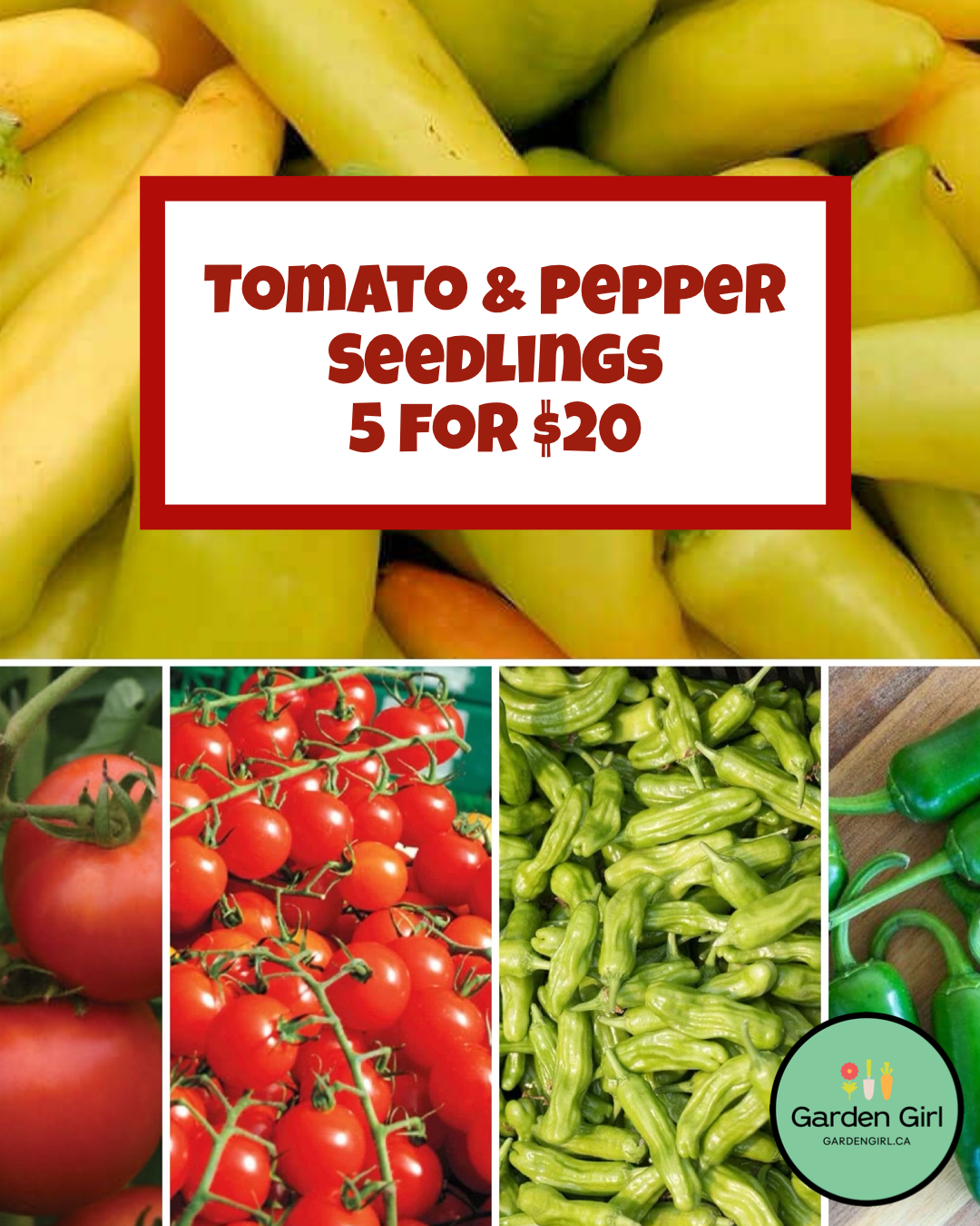 Bundle Tomato & Pepper Seedlings & Save