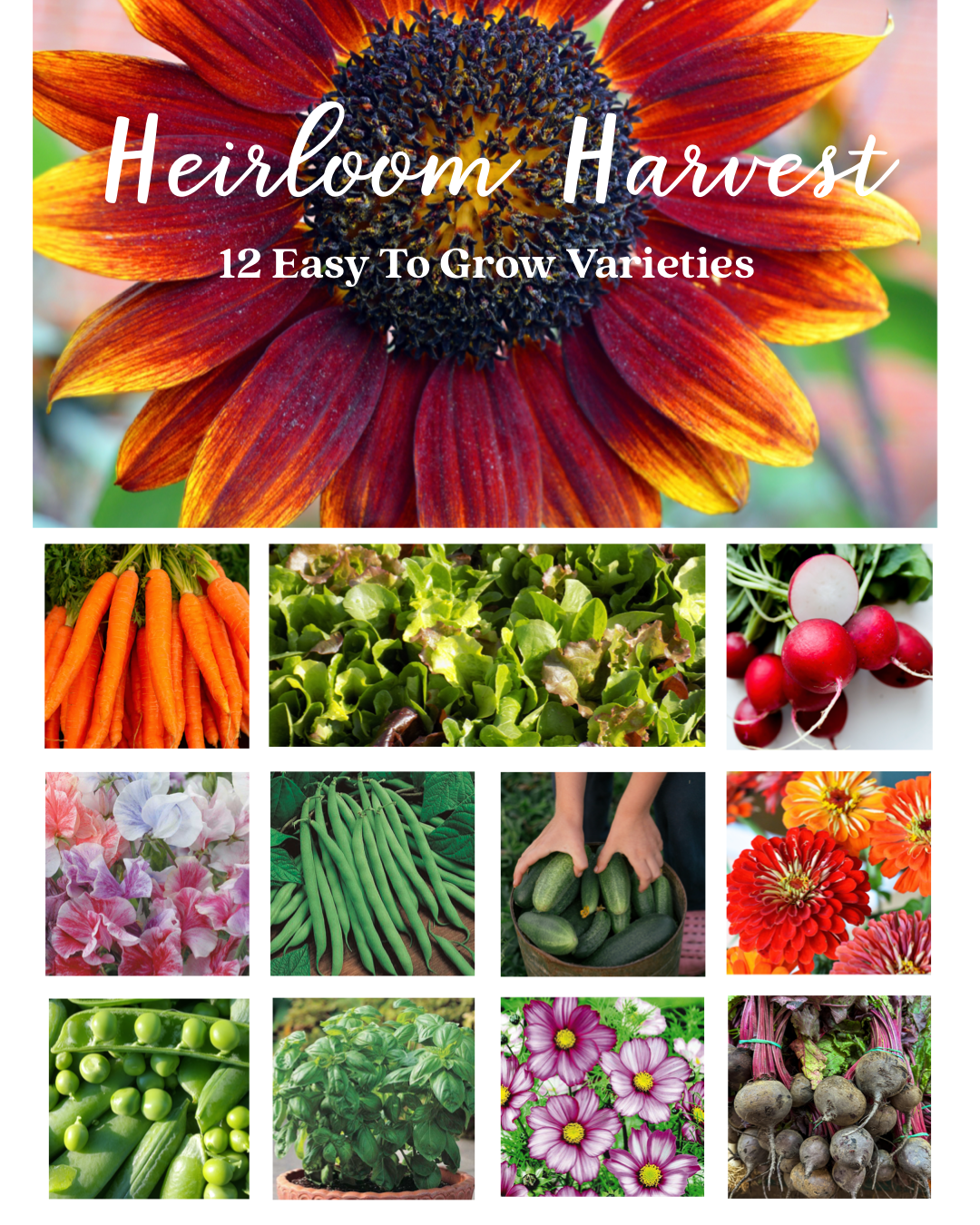 Heirloom Harvest Seed Collection