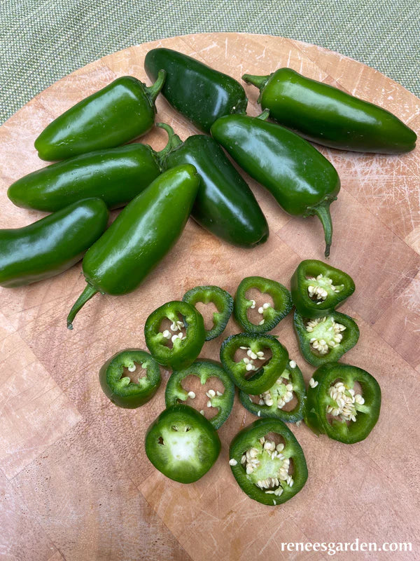 osc pepper early calwonder