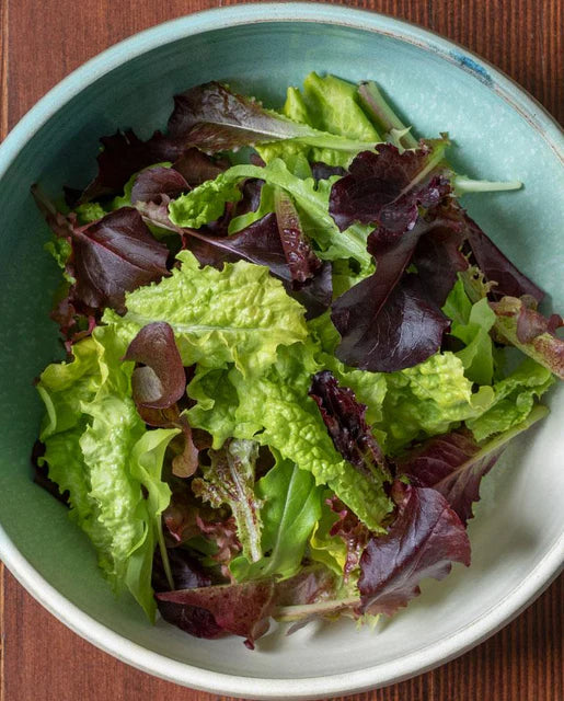 Lettuce City Garden Blend WCS Seed