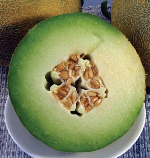 Melons Diplomat WCS Seed