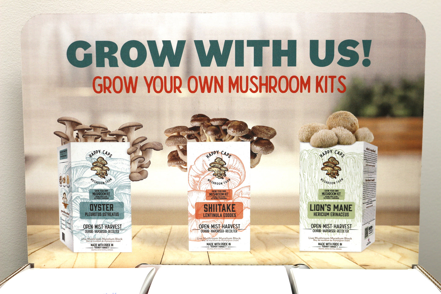 Mushroom Kit Shitake Happy Caps