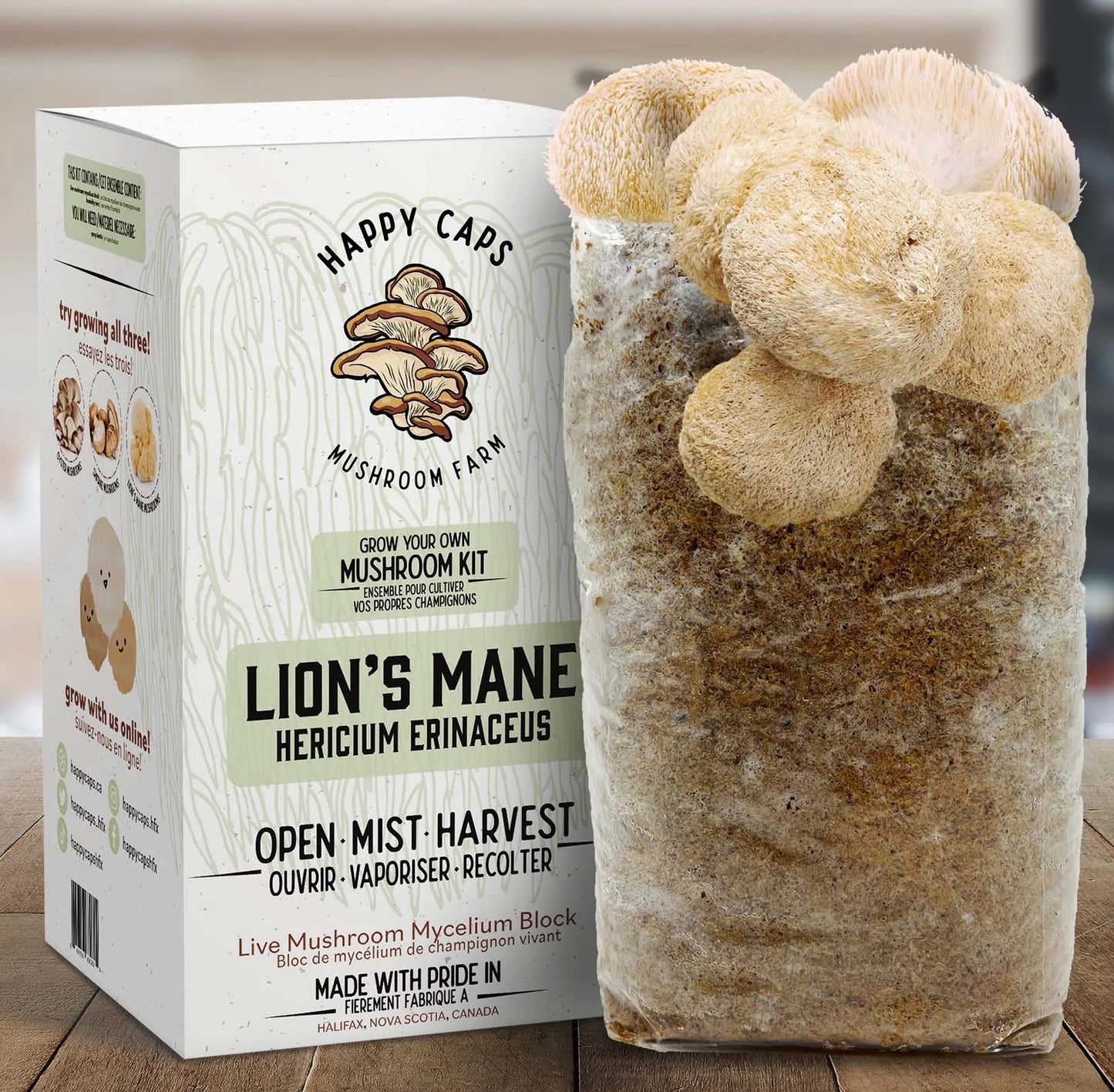 Mushroom Kit Lion's Mane Happy Caps