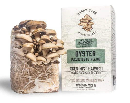 Mushroom Kit Oyster Happy Caps