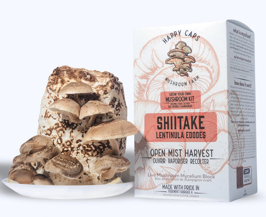 Mushroom Kit Shitake Happy Caps