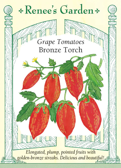 Tomato Bronze Torch Grape