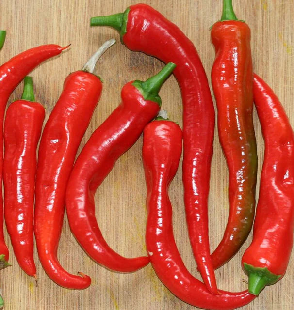 Peppers Arapaho WCS Seed