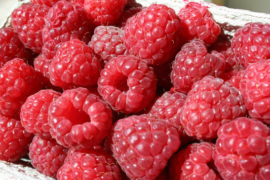 Raspberry Souris 1G