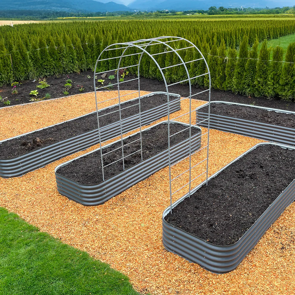 Sproutbox Arch Garden Trellis