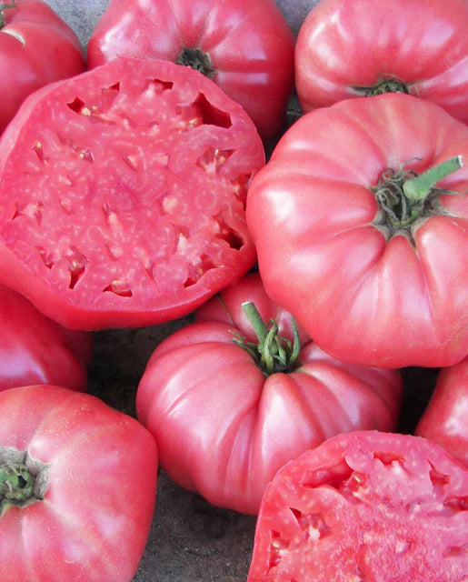 Tomatoes Pink Brandywine Organic WCS Seeds
