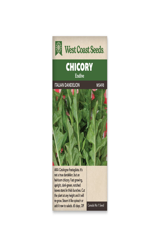 Chicory Italian Dandelion WCS Seed