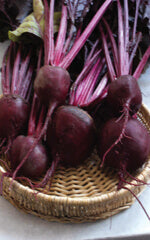 Beet Bull's Blood OSC Seed