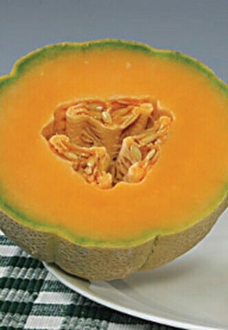 Cantaloupe Halona Hybrid OSC Seed