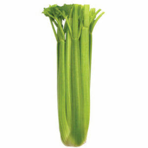 Celery Tall Utah OSC Seed