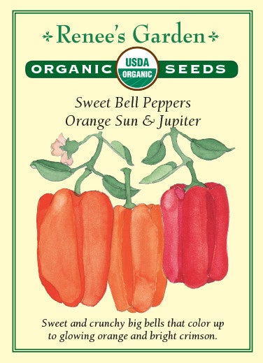 Pepper Sweet Bell Orange and Red