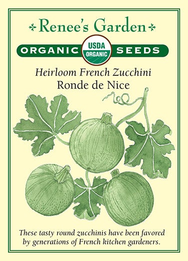 Squash Zucchini Ronde de Nice Organic