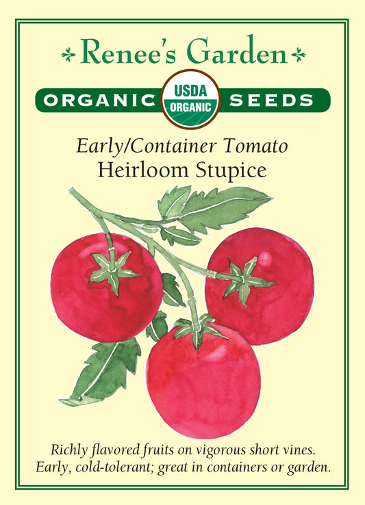 Tomato Container Early Stupice Organic
