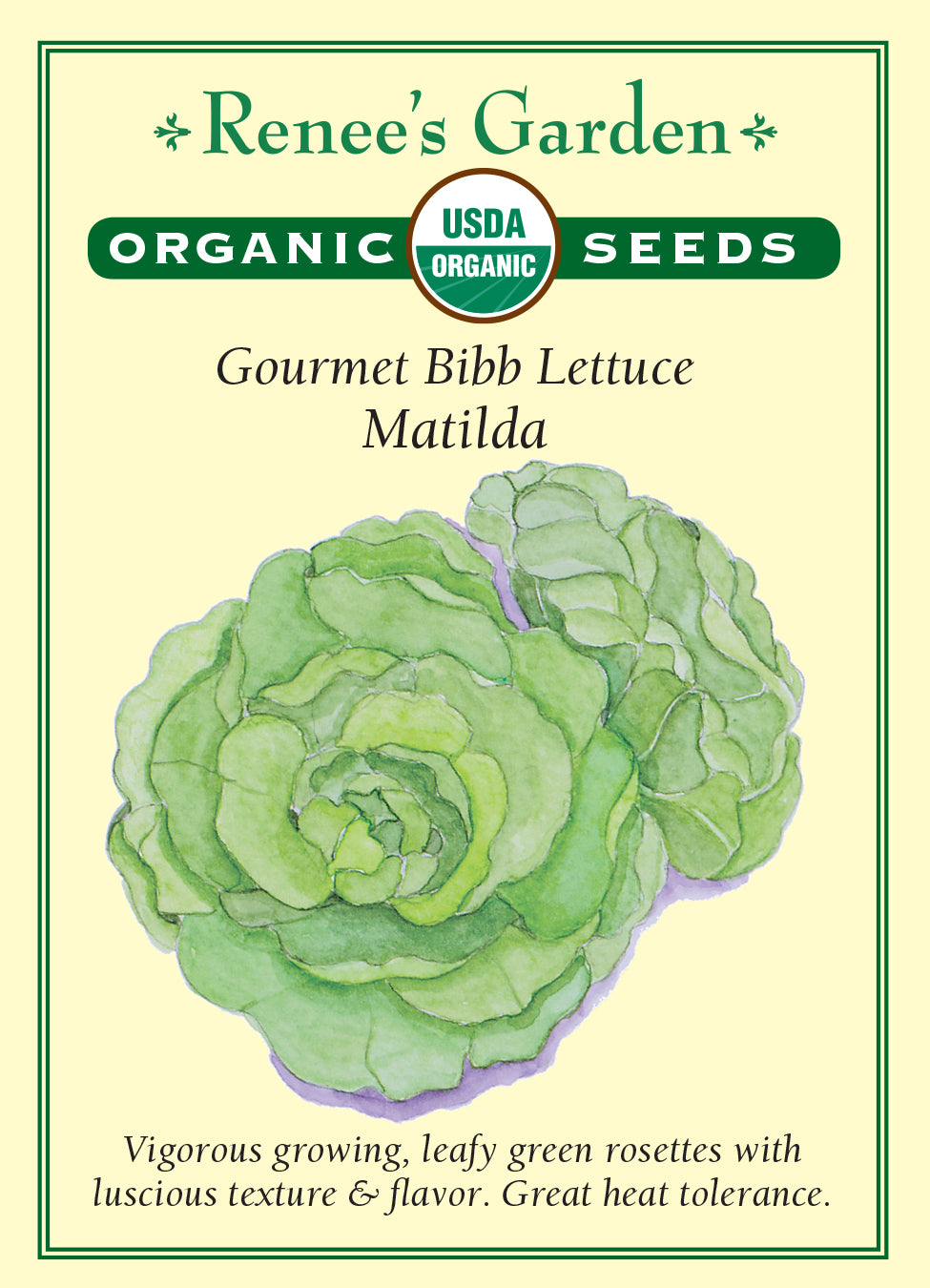 Lettuce Bibb Matilda Organic