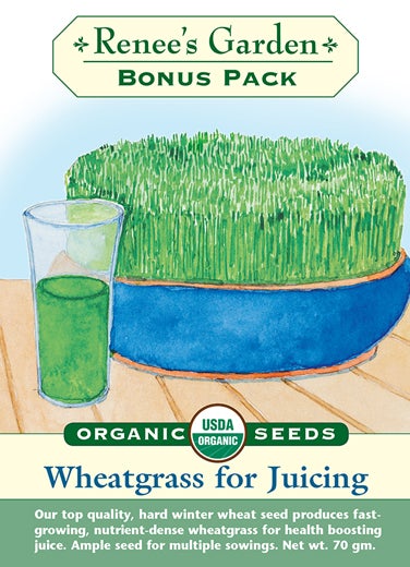 Organic Wheatgrass for Juicing Bonus Pack