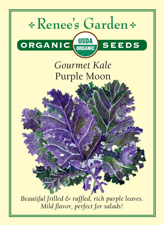 Kale Purple Moon Organic