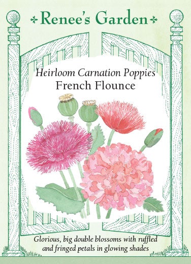 Poppy Carnation French Flounce