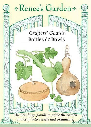Gourds Large Crafters Mix