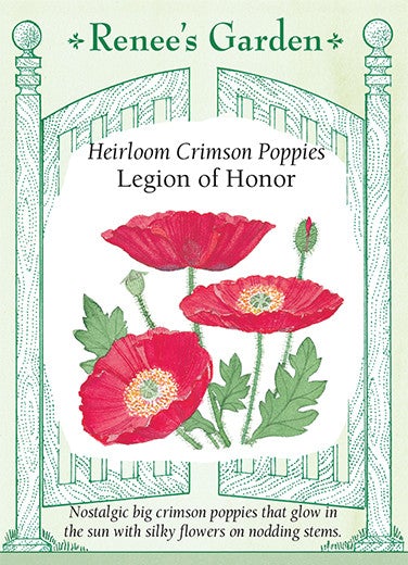 Poppy  Legion of Honour